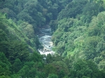 DSCF1601