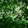 DSCF1622