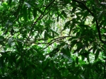 DSCF1622