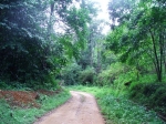 DSCF1623