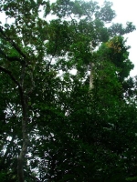 DSCF1624