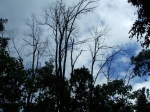 DSCF1625