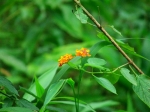 DSCF1626
