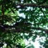DSCF1628