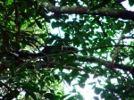 DSCF1628