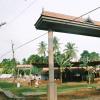 kerala-temple-palakkad _1_