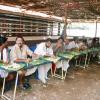kerala-temple-palakkad _81_