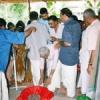 kerala-temple-palakkad _27_