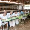 kerala-temple-palakkad _77_