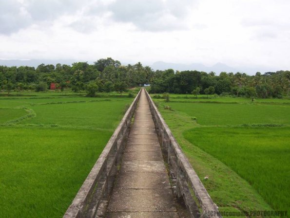 ambattuparambu220704-003