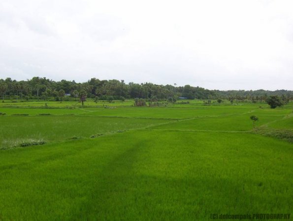 ambattuparambu220704-005
