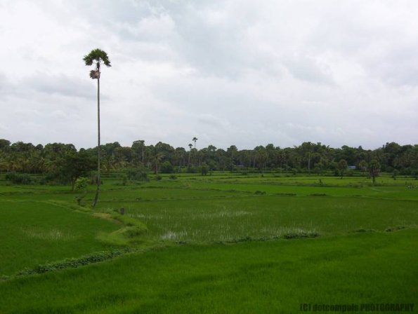 ambattuparambu220704-006