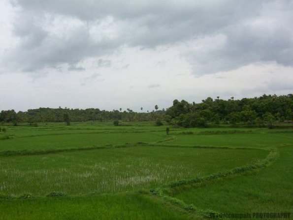 ambattuparambu220704-007