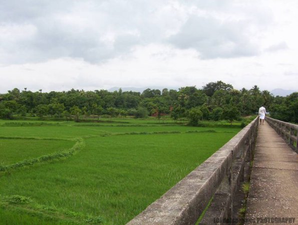 ambattuparambu220704-008