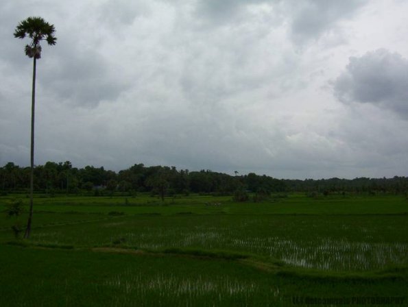 ambattuparambu220704-009