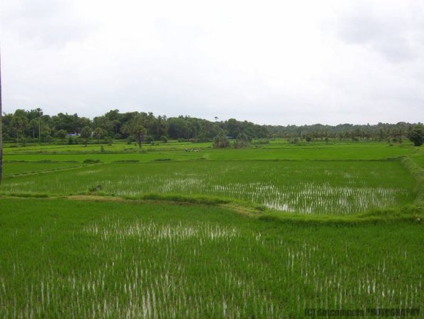 ambattuparambu220704-010