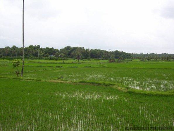 ambattuparambu220704-011