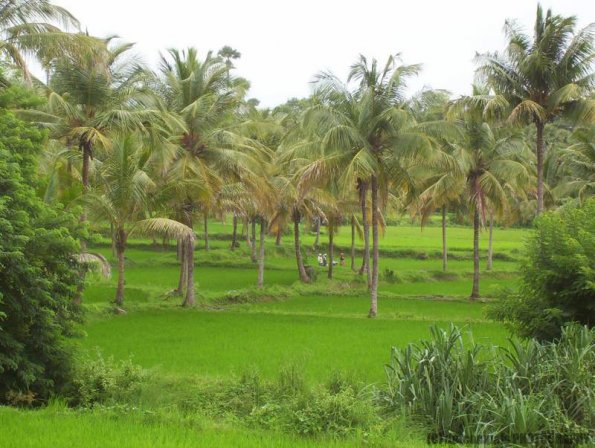 ambattuparambu220704-016