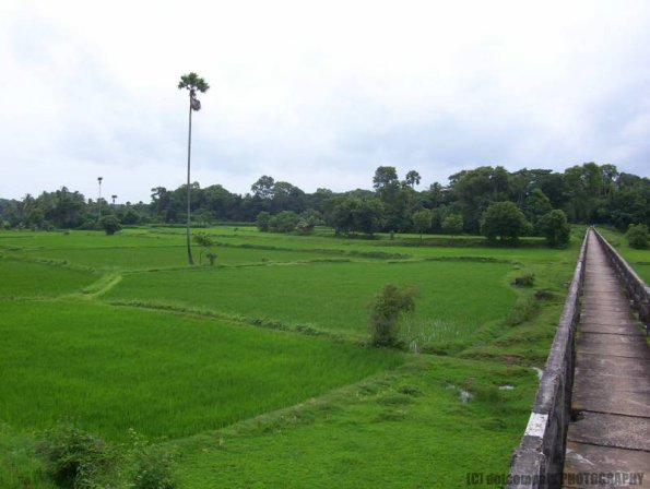 ambattuparambu220704-018