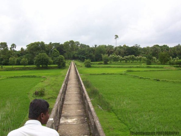 ambattuparambu220704-022