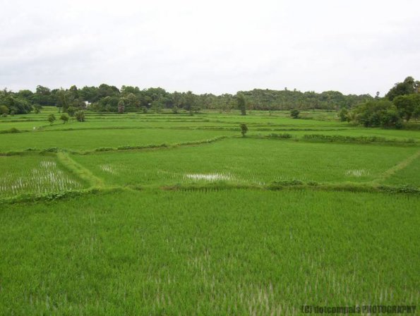 ambattuparambu220704-026