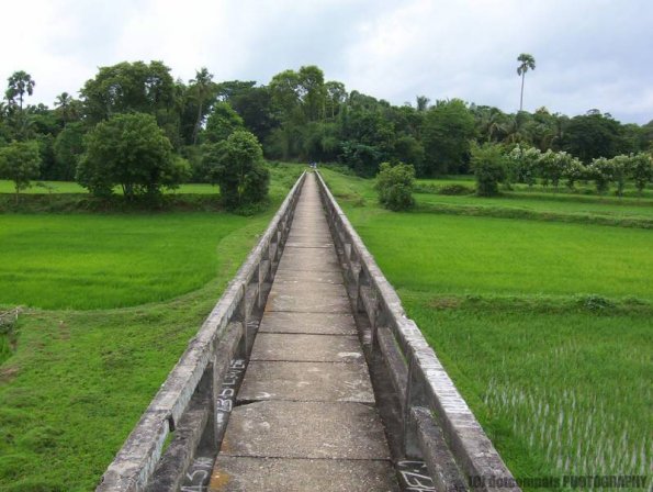 ambattuparambu220704-027