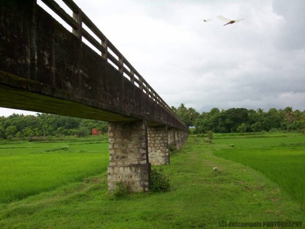 ambattuparambu220704-043