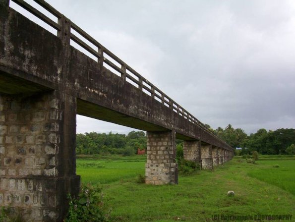 ambattuparambu220704-049