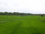 ambattuparambu220704-005