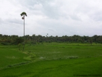 ambattuparambu220704-006