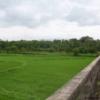 ambattuparambu220704-008