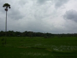 ambattuparambu220704-009