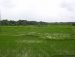 ambattuparambu220704-010