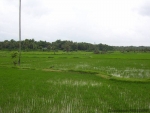 ambattuparambu220704-011
