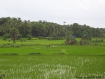 ambattuparambu220704-012