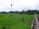 ambattuparambu220704-018