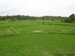 ambattuparambu220704-026