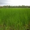 ambattuparambu220704-044