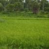 ambattuparambu220704-058