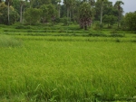 ambattuparambu220704-058