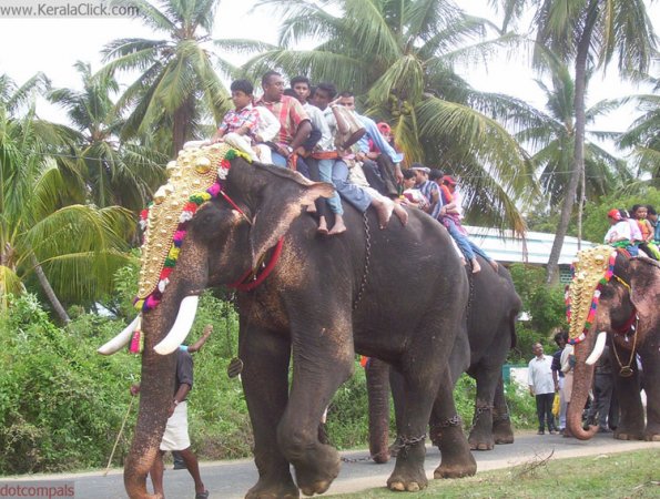 angadivela05-aanavela16
