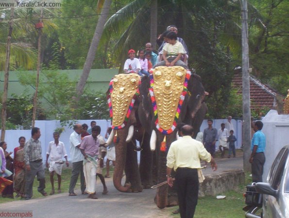 angadivela05-aanavela1