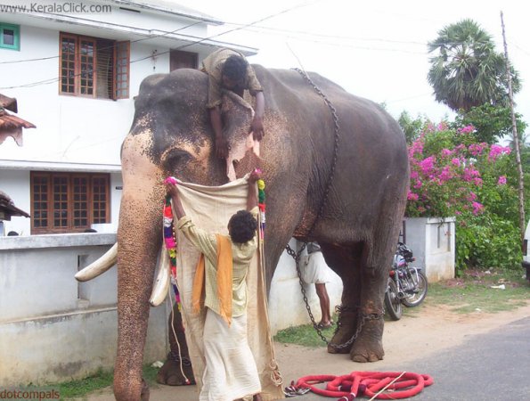 angadivela05-aanavela20