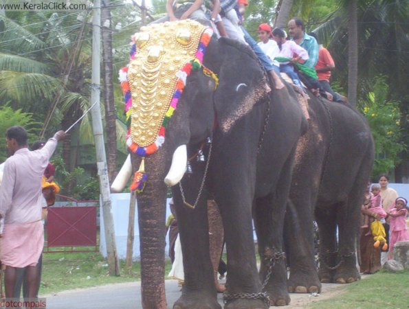 angadivela05-aanavela3