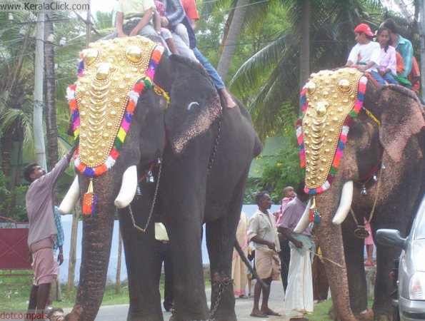 angadivela05-aanavela4