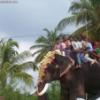 angadivela05-aanavela15