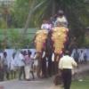 angadivela05-aanavela1