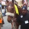 attm-kuthiravela2005039