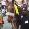 attm-kuthiravela2005039