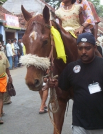 attm-kuthiravela2005039